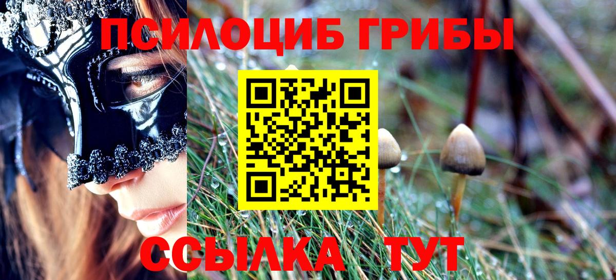 Тулун  Галлюциногенные грибы мухоморы  Вход с VPN 