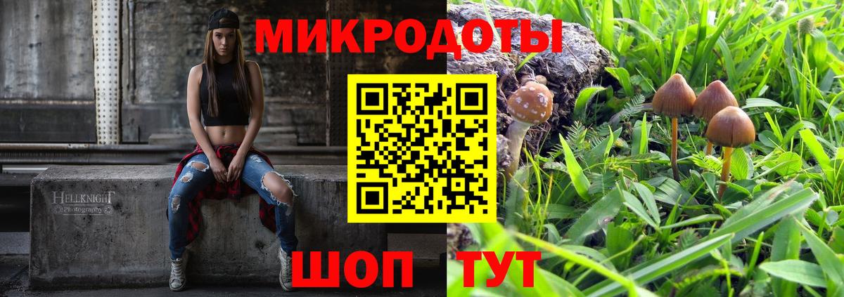 Псилоцибиновые грибы Psilocybe Тулун