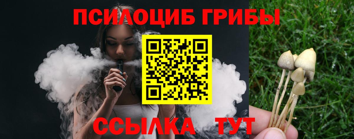 Меф Тулун